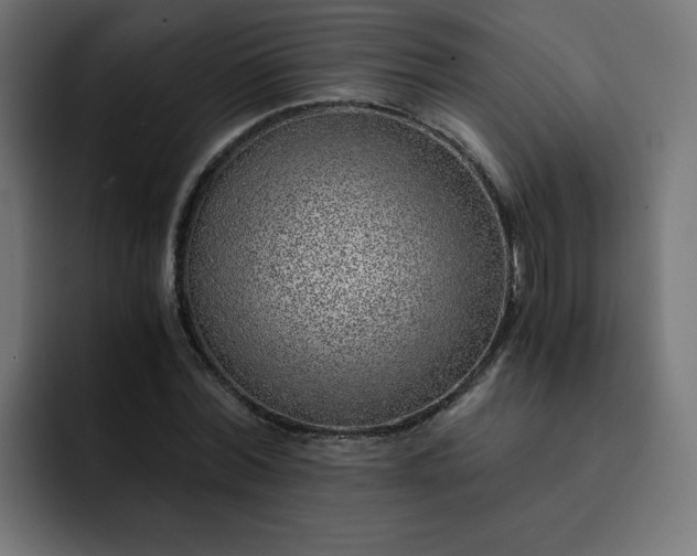 X0000093150780200710101135