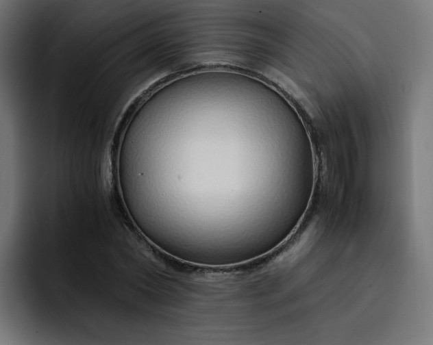 X0000093150782200710101135