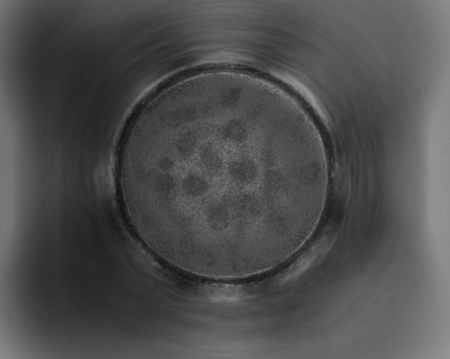 X0000093150783200710101135