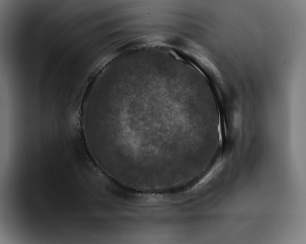 X0000093150785200710101134