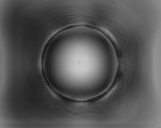X0000093150789200710101134