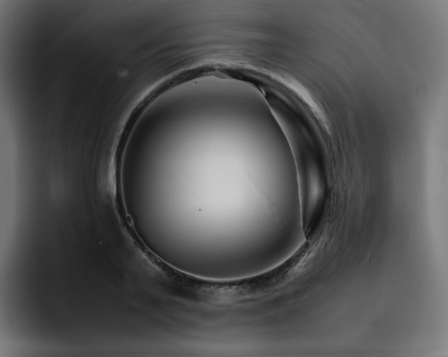 X0000093150791200710101134