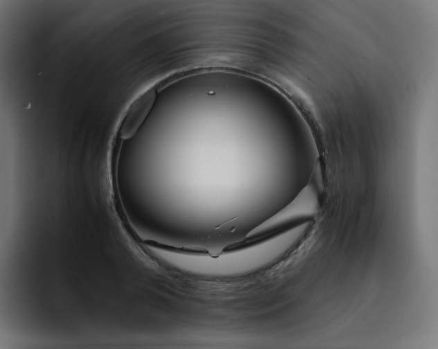 X0000093150792200710101134