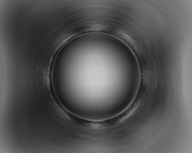 X0000093150794200710101134