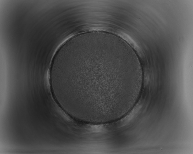 X0000093150798200710101134