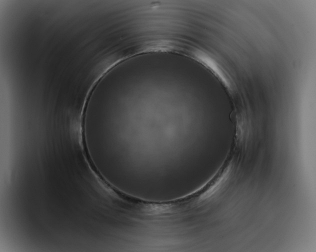 X0000093150802200710101134