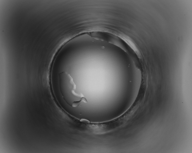 X0000093150805200710101134