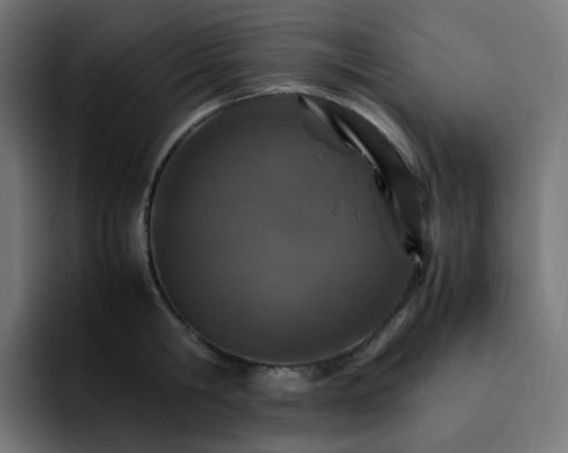 X0000093150806200710101134