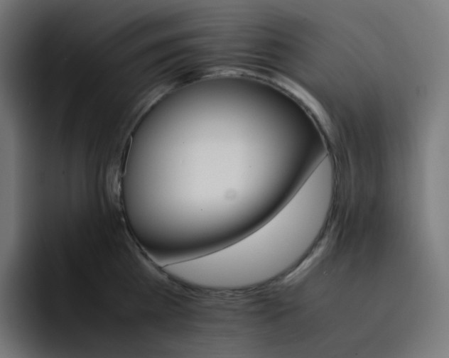 X0000093150809200710101134