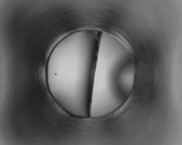 X0000093150812200710101134