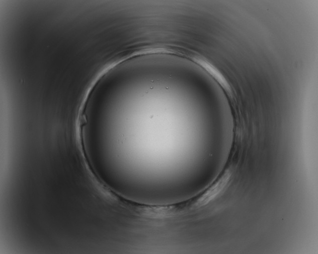 X0000093150813200710101134