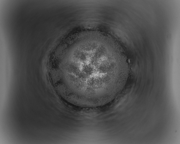 X0000093150817200710101134