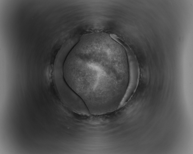 X0000093150818200710101134