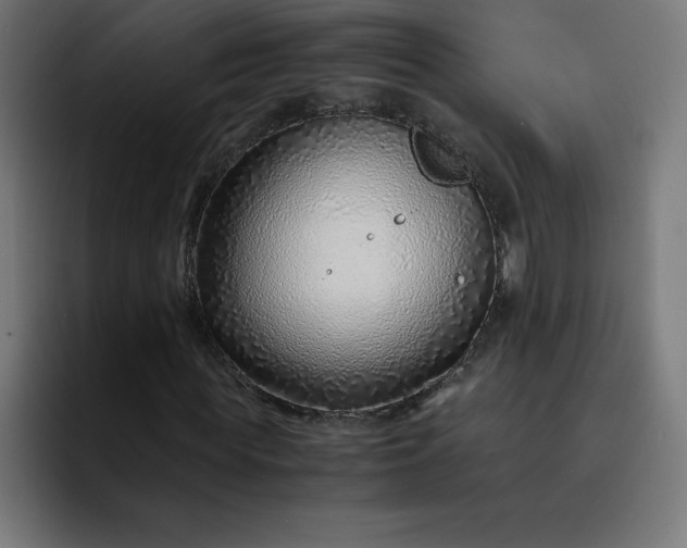 X0000093150819200710101134