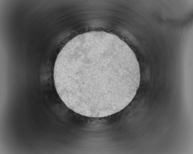 X0000093150824200710101134