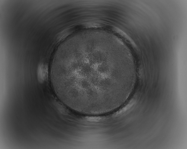 X0000093150825200710101134