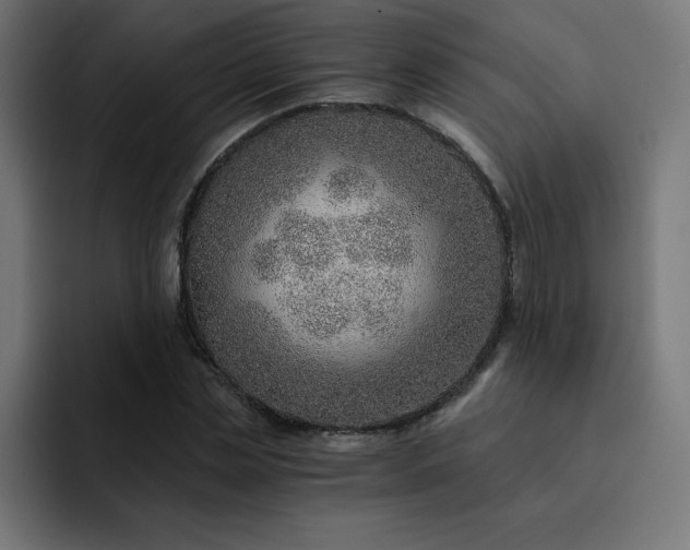 X0000093150829200710101134
