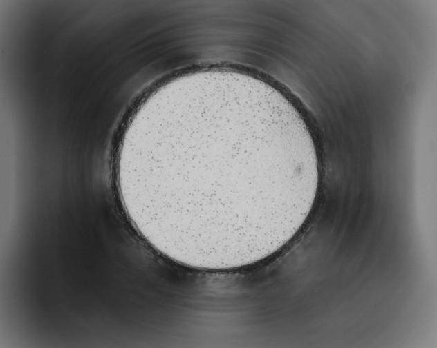X0000093150832200710101134