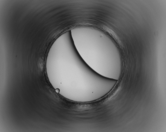 X0000093150833200710101134