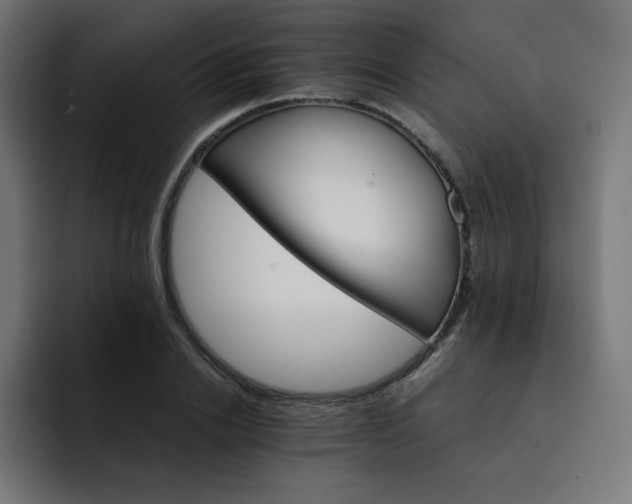X0000093150838200710101134