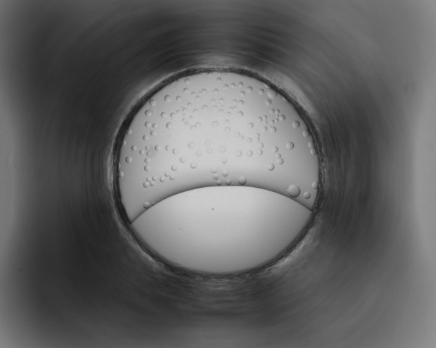 X0000093150839200710101134