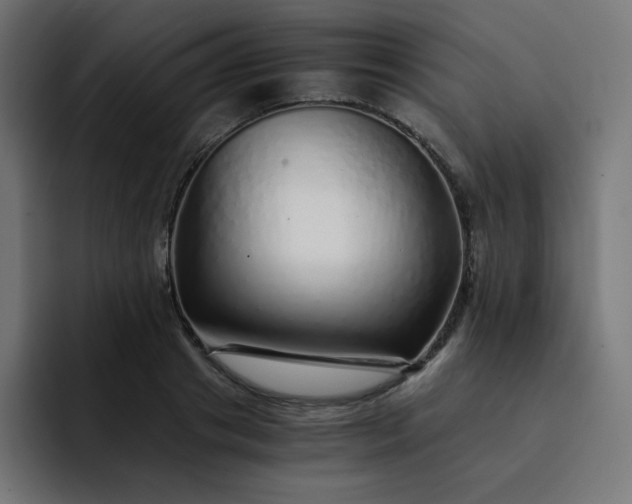 X0000093150841200710101134