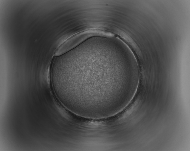 X0000093150842200710101134