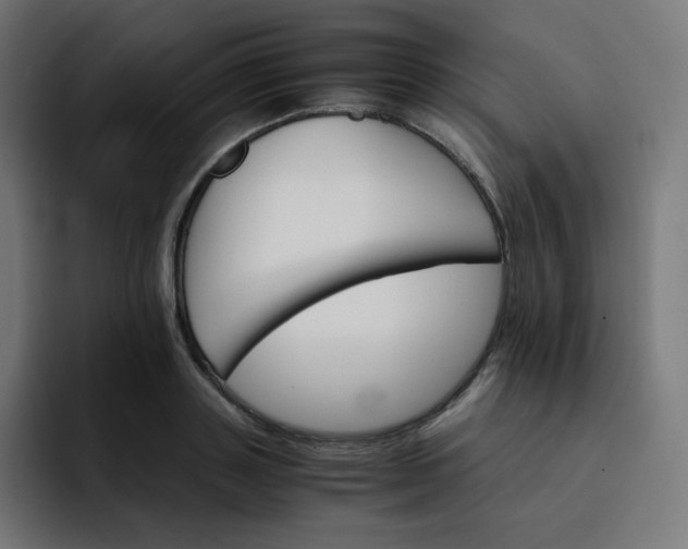 X0000093150843200710101134