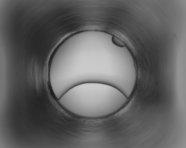 X0000093150844200710101134