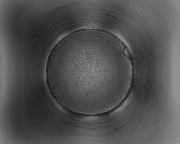 X0000093150845200710101134