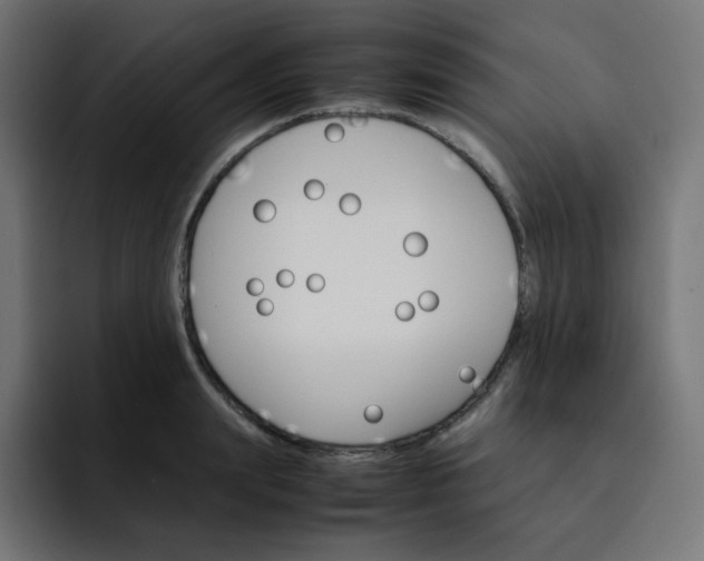X0000093150847200710101134