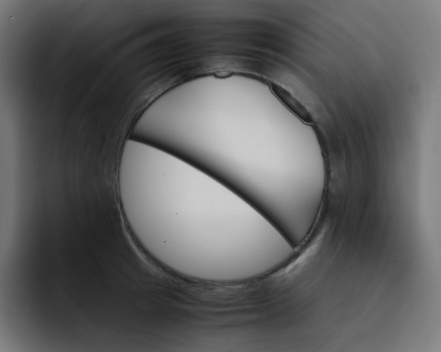 X0000093150849200710101134