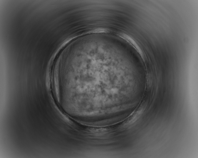 X0000093150851200710101134
