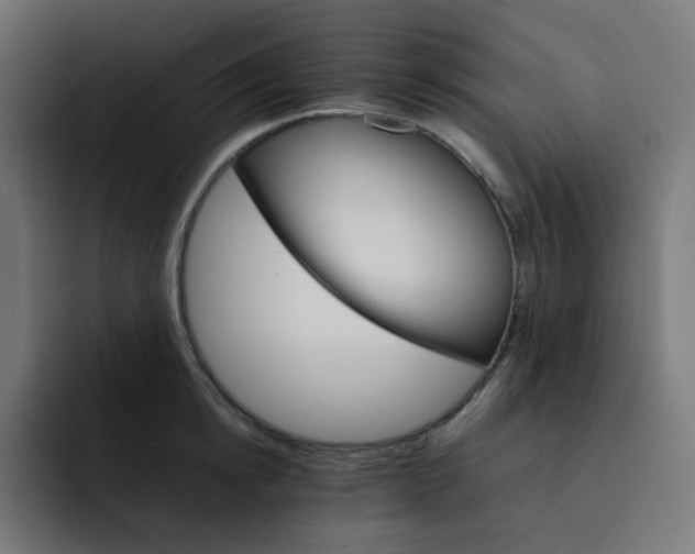 X0000093150854200710101134
