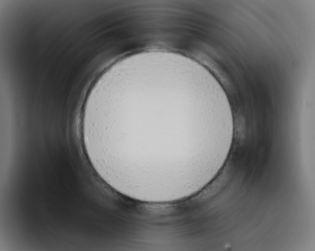 X0000093150856200710101134
