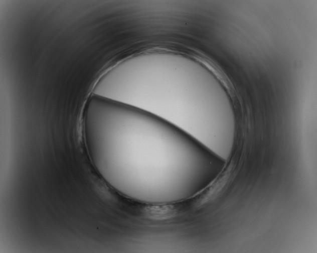 X0000093150858200710101134