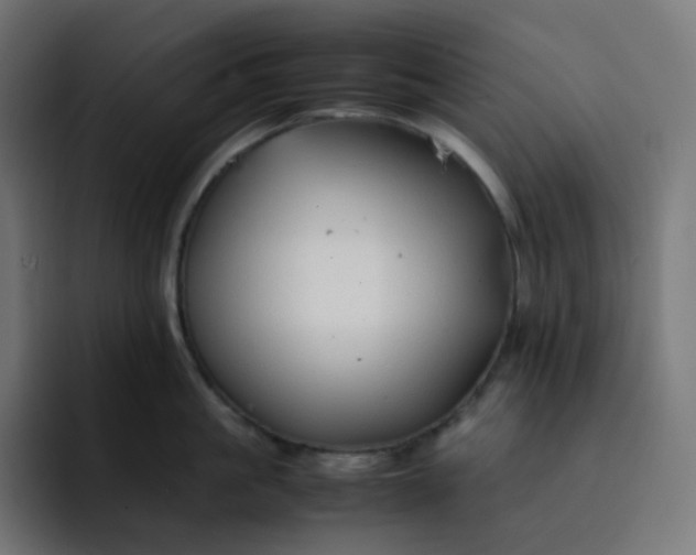X0000093150861200710101134
