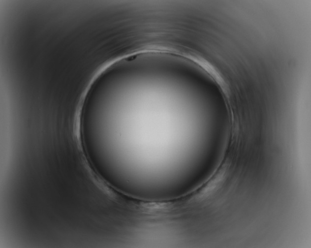 X0000093150862200710101134