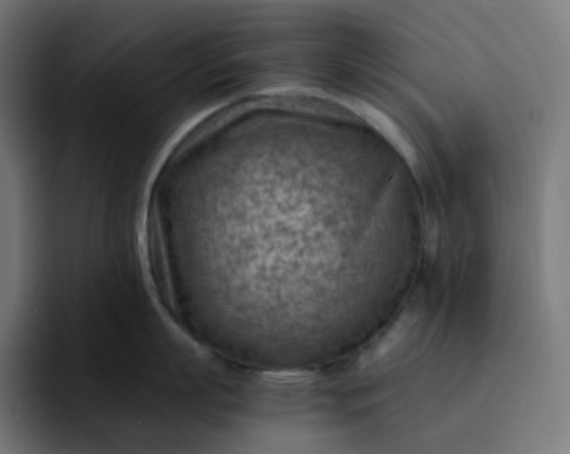 X0000093150863200710101134