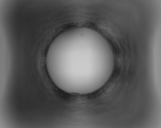 X0000093150865200710101134