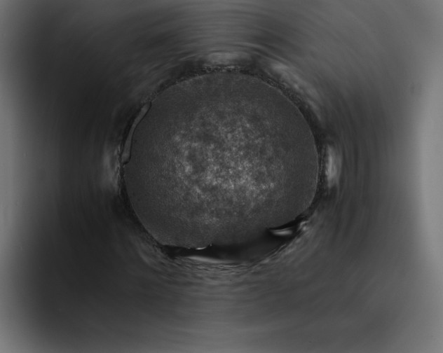 X0000093150868200710101134