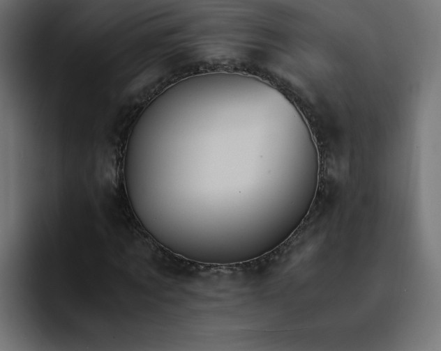X0000093150869200710101134