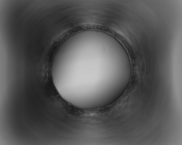 X0000093150870200710101133