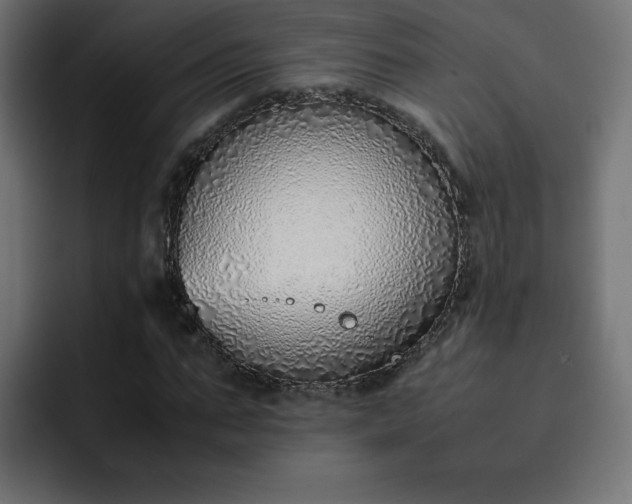 X0000093150871200710101133