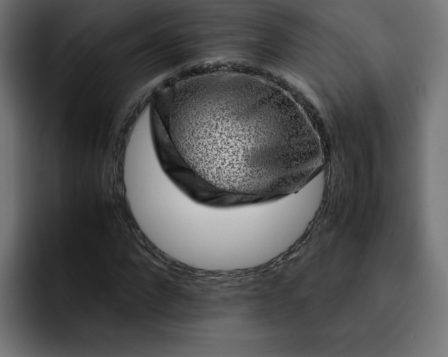 X0000093150872200710101133