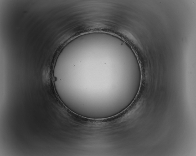 X0000093150873200710101133