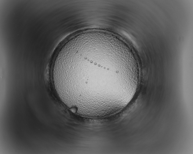 X0000093150875200710101133