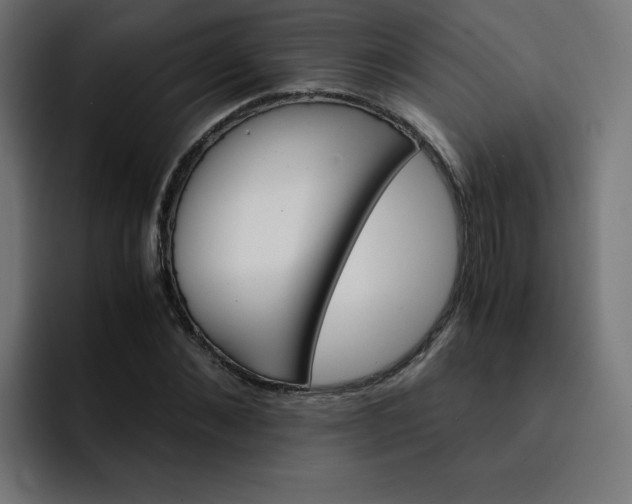 X0000093150876200710101133