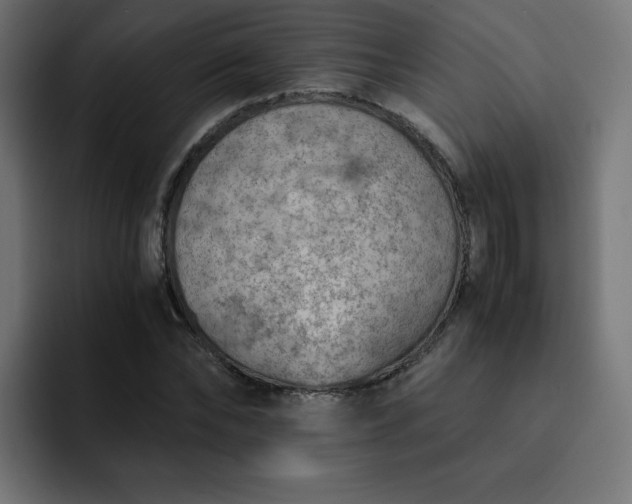 X0000093150878200710101133