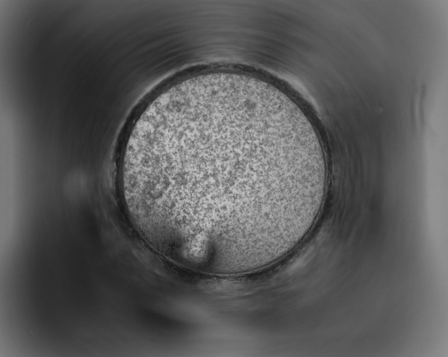 X0000093150879200710101133